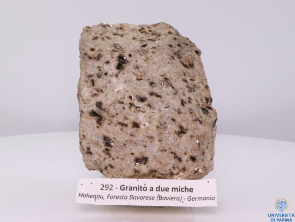 292- Granito a due miche