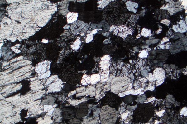 499-Ortopirossenite (Bronzitite) - immagine 3
