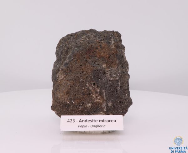 423- Andesite micacea